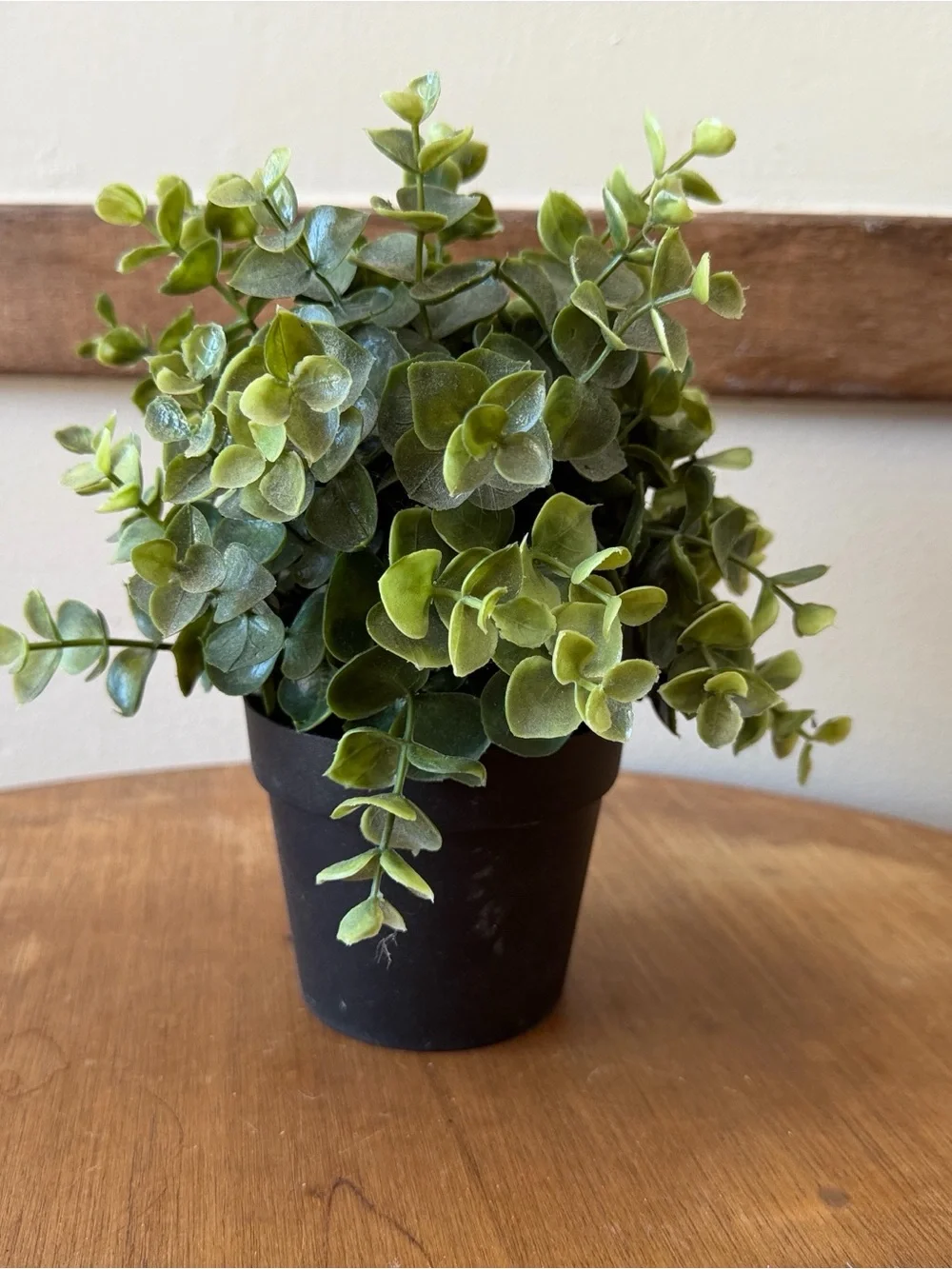 IKEA Green Faux Eucalyptus in Black Pot